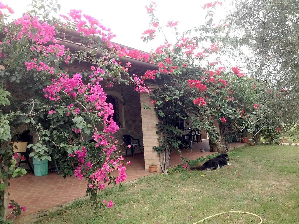 Villa Casa Santina Girasole