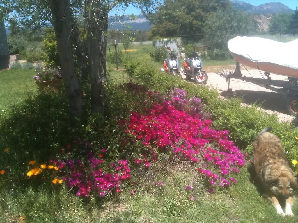 Casa vacanze Villa Casa Santina Girasole