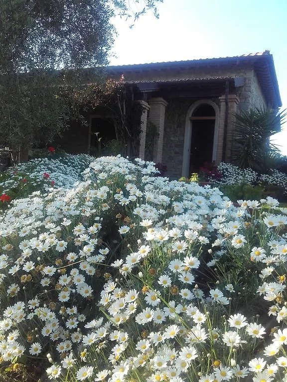 Villa Casa Santina Girasole Casa vacanze